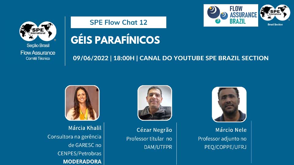 SPE Brasil Flow Chat 12